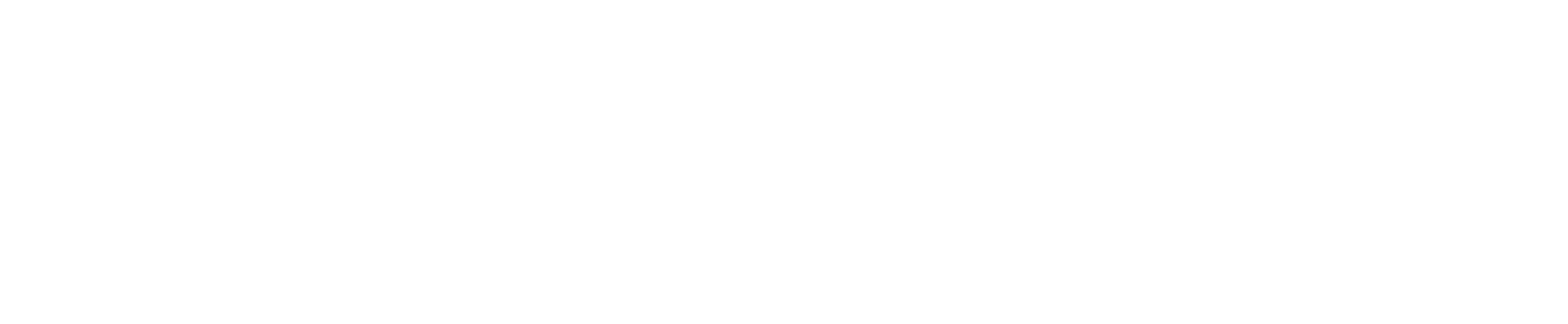 MOBILE CONNECT
